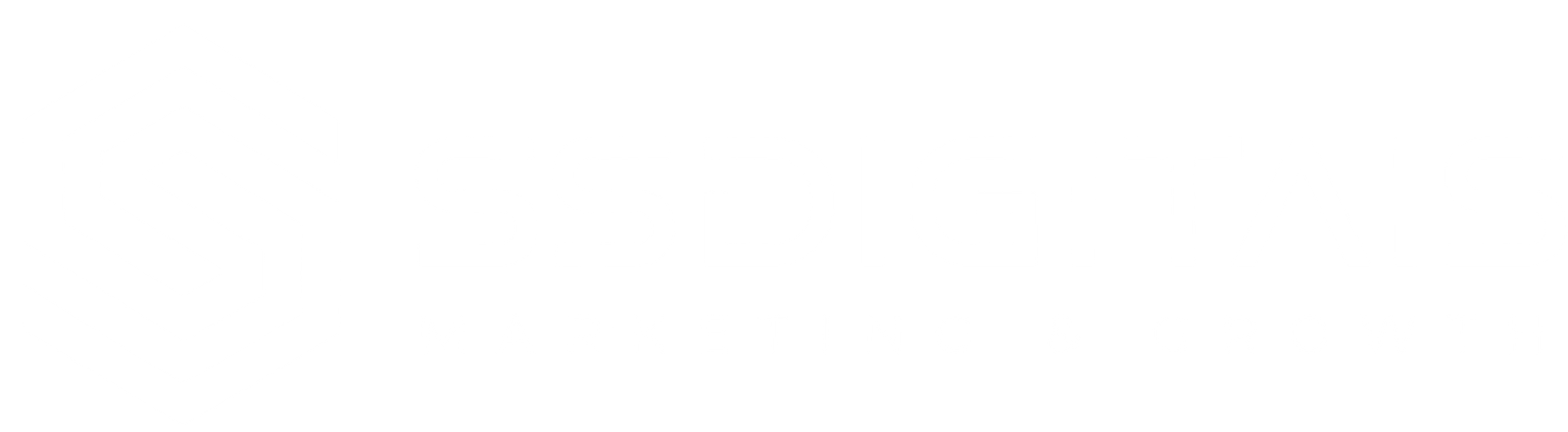 SSDIGITAIS
